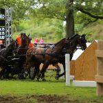 【暴露王特集】競馬の歴史は英国から始まる